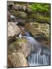 Jordan Stream in Acadia National Park, Maine, Usa-Chuck Haney-Mounted Photographic Print