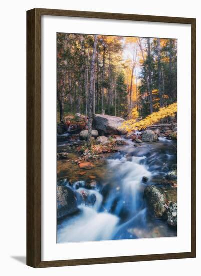 Jordan Stream in Autumn - Bar Harbor, Maine-Vincent James-Framed Photographic Print