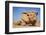 Jordan, Wadi Rum. a Free-Standing Sandstone Feature known as the Bedouin Cow in Wadi Rum.-Nigel Pavitt-Framed Photographic Print