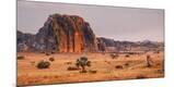 Photographic Print