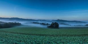 Morning Fog over a Field-Jorg Simanowski-Photographic Print