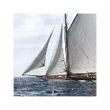 Free Sailing-Jorge Llovet-Framed Giclee Print