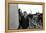 Jorge Luis Borges on His House Terrace-Mario de Biasi-Framed Premier Image Canvas