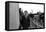 Jorge Luis Borges on His House Terrace-Mario de Biasi-Framed Premier Image Canvas