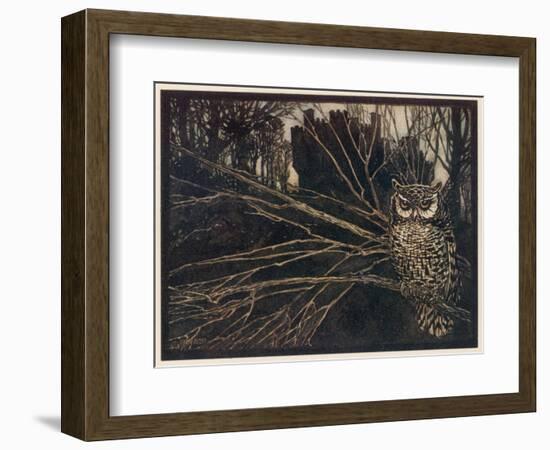 Jorinda as Owl-Arthur Rackham-Framed Photographic Print