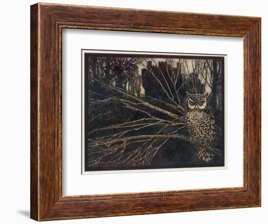 Jorinda as Owl-Arthur Rackham-Framed Photographic Print