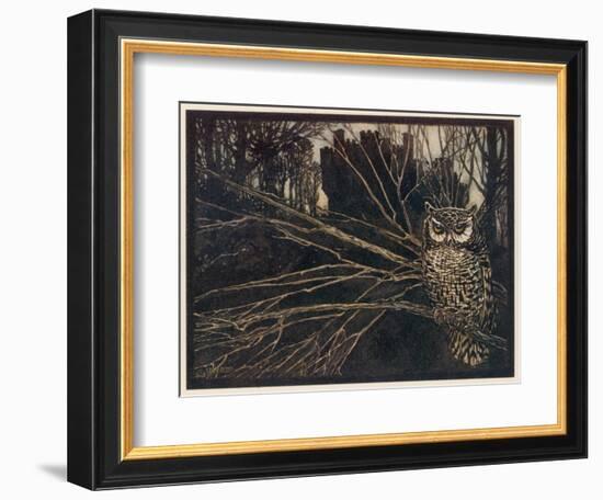 Jorinda as Owl-Arthur Rackham-Framed Photographic Print