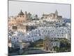 Premium Photographic Print