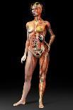 Female Body, Artwork-Jose Antonio-Photographic Print