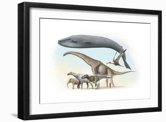 Photographic Print, , large