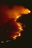 Mediterranean Forest Fire at Night, Spain-Jose B. Ruiz-Mounted Photographic Print