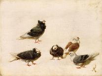 Pigeons, 1888-Jose Ruiz Blasco-Framed Premier Image Canvas