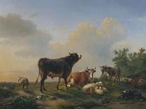 A Bull, a Cow, a Donkey, a Goat, a Dog, Sheep and Poultry in an Extensive Landscape, 1849-Joseph Bail-Giclee Print