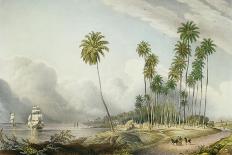 Retirement Estate, St. James's, Plate 13 from 'West Indian Scenery: Illustrations of Jamaica',…-Joseph Bartholomew Kidd-Giclee Print
