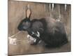 Premium Giclee Print