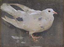 The White Drake-Joseph Crawhall-Giclee Print