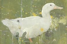 The White Drake-Joseph Crawhall-Giclee Print