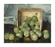 Ripening Pears, c.1884-1885-Joseph Decker-Framed Stretched Canvas