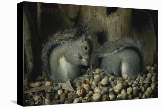 Stretched Canvas Print, , large