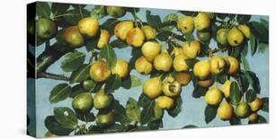 Green Plums, c.1885-Joseph Decker-Framed Premium Giclee Print