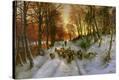 Stretched Canvas Print