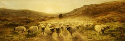 Sheep in a Winter Landscape, Evening-Joseph Farquharson-Giclee Print
