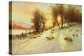 Stretched Canvas Print