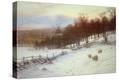 Stretched Canvas Print
