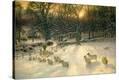 Stretched Canvas Print