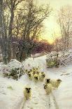 Snow Covered Fields with Sheep-Joseph Farquharson-Giclee Print