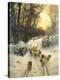 Stretched Canvas Print