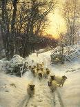 Snow Covered Fields with Sheep-Joseph Farquharson-Giclee Print