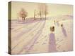Stretched Canvas Print