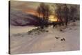 Stretched Canvas Print