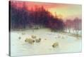 Stretched Canvas Print
