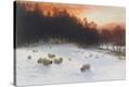 Stretched Canvas Print