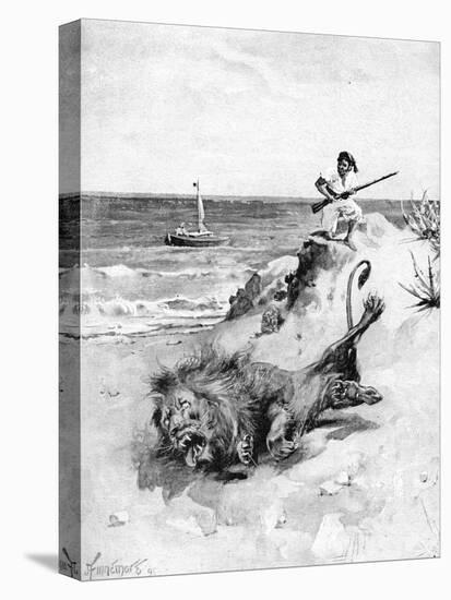 Stretched Canvas Print, , large