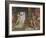 Joseph Interpreting Pharaoh's Dream, 1894-Reginald Arthur-Framed Giclee Print