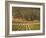 Joseph Phelps Winery and Vineyard, Deer Park, Napa Valley, California-Walter Bibikow-Framed Photographic Print