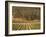 Joseph Phelps Winery and Vineyard, Deer Park, Napa Valley, California-Walter Bibikow-Framed Photographic Print