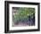 Joseph Phelps Winery and Vineyard, Deer Park, Napa Valley, California-Walter Bibikow-Framed Photographic Print