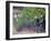 Joseph Phelps Winery and Vineyard, Deer Park, Napa Valley, California-Walter Bibikow-Framed Photographic Print