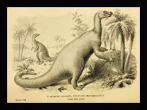 Iguanodon Bernissartensis-Joseph Smit-Framed Art Print