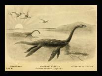 Long Necked Sea Lizard-Joseph Smit-Framed Art Print