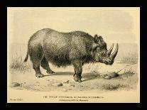 Sivatherium Giganteum-Joseph Smit-Framed Art Print