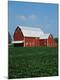 Premium Photographic Print