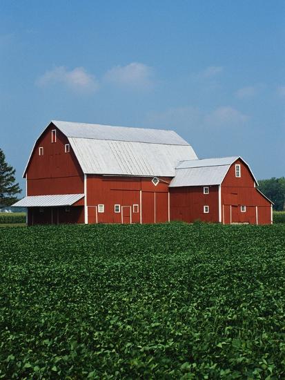 Photographic Print, , large