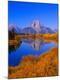 Premium Photographic Print
