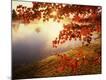 Premium Photographic Print