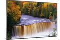 Photographic Print